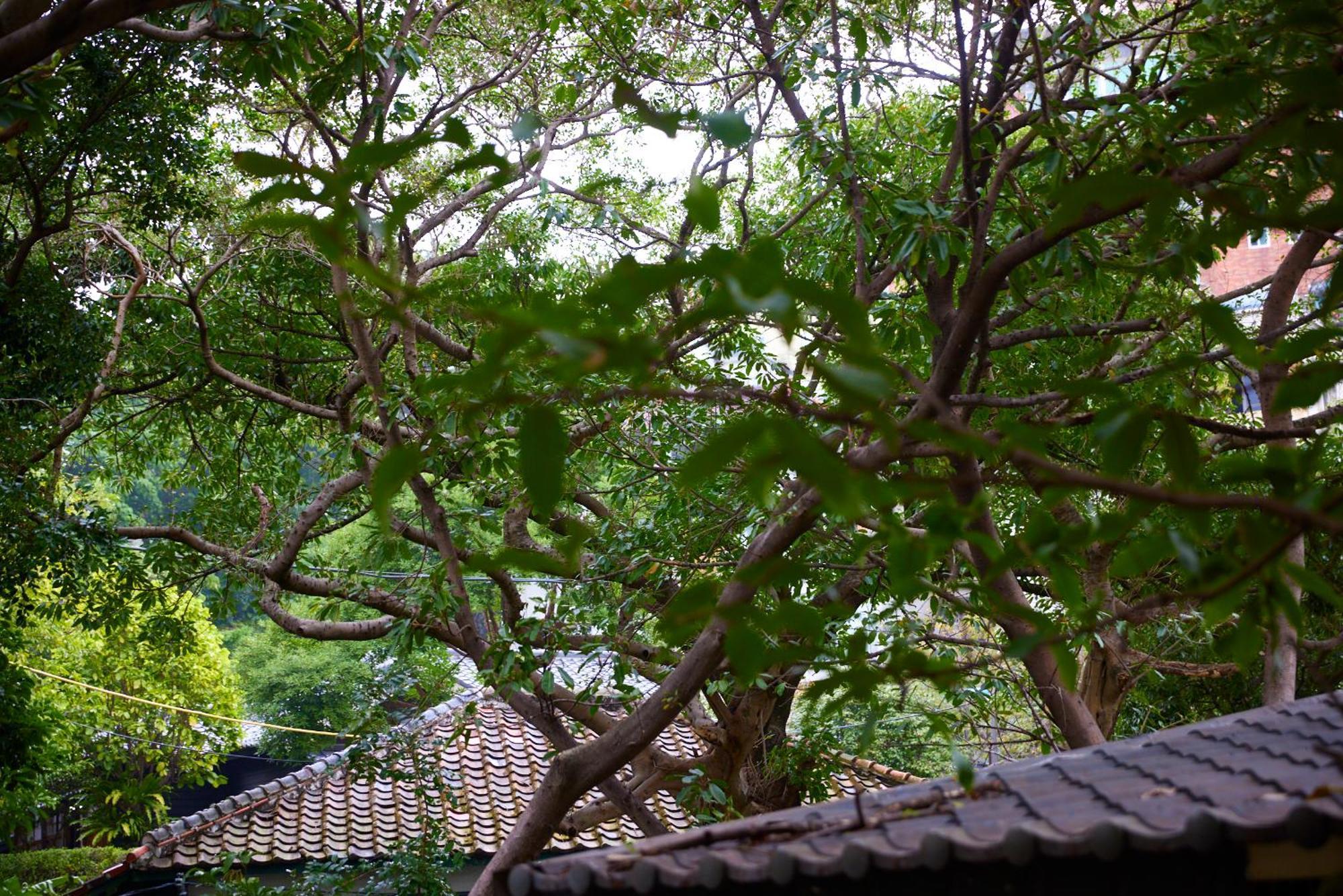 Kyokusui Hotspring Hotel Tchaj-pej Exteriér fotografie